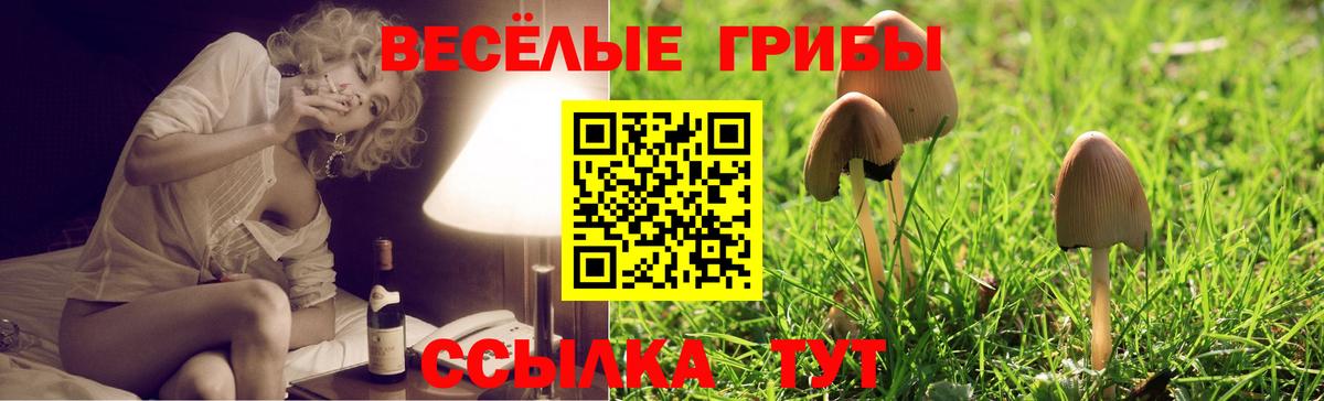 Псилоцибиновые грибы Cubensis  Вход с VPN  Крымск  Псилоцибиновые грибы MAGIC MUSHROOMS 